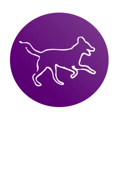 City Bark Daycare icon logo